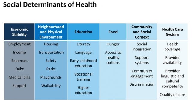 Social Determinants of Health (SDOH) Chart