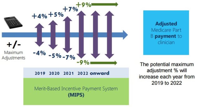 MIPS Incentives and Penalties