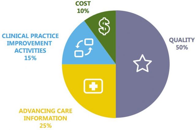 MIPS Performance Categories Weighting - Year 1