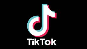 Walking the TikTok Tightrope: Social Media Use by Healthcare Professionals